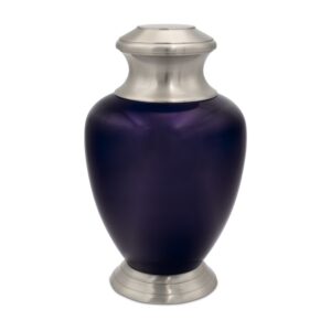 Nebula Royal Plum Urn