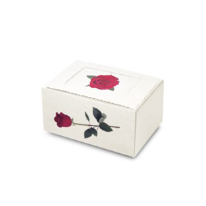 Cherished Reflections Biodegradable Urn